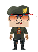 ownerplayer