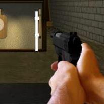 Pistol Training