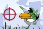 Angry Birds Hunting