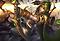 League of Angels II
