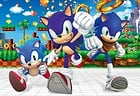 Sonic 1 Tag Team