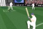 Cricket Challenge