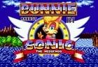 Bunnie Rabbot in Sonic the Hedgehog