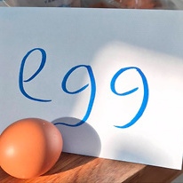 Egg