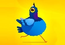 Pigeon Pop