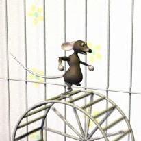 Rat Wheel