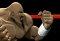 Final Knockout