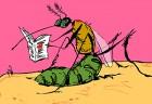 The Mr Man: The pest